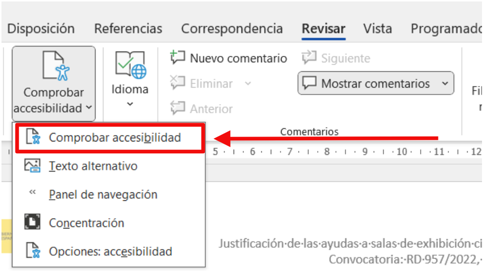 Asistente de accesibilidad