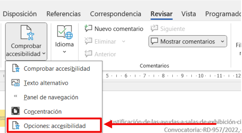 Ventana de opciones de accesibilidad